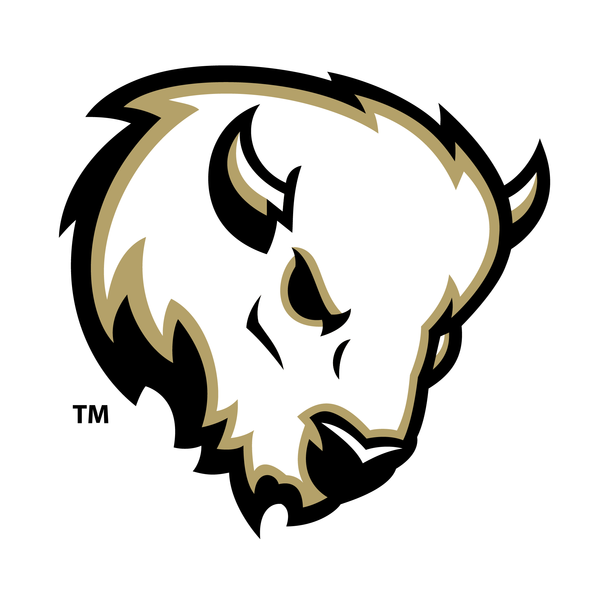 McAlester High School Athletics